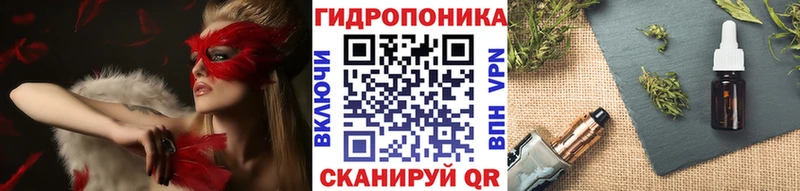 Бошки Шишки планчик Белово